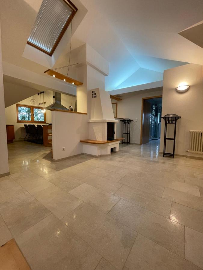 Appartement Undertheroof At Salzburg